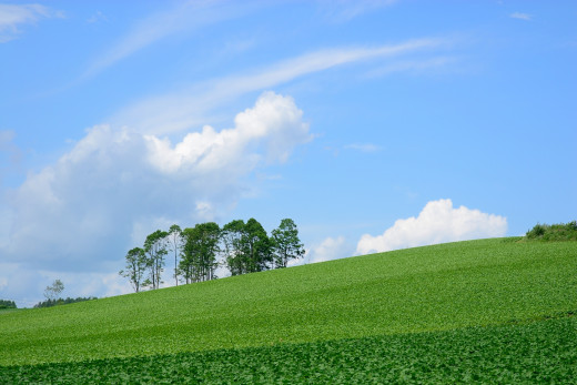 652902 (a): :1920x1280